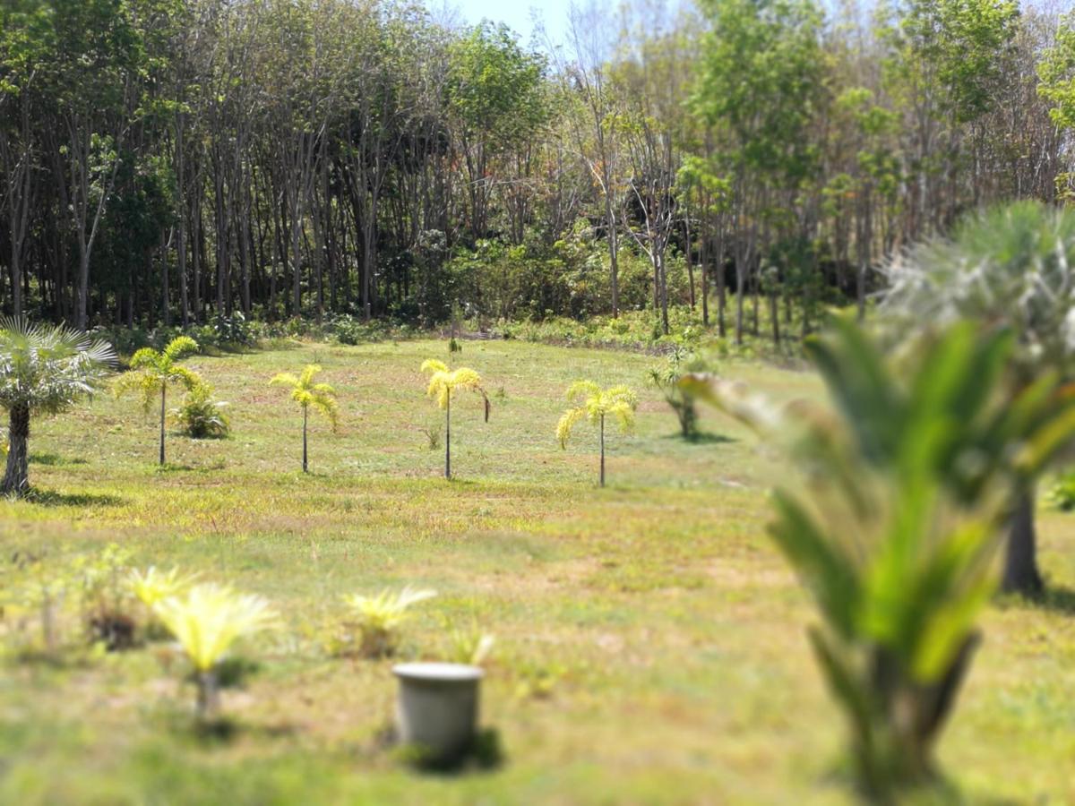 Palm Garden House Apartment เกาะลันตา ภายนอก รูปภาพ